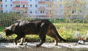 20141027_120441 (640x377).jpg