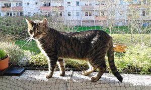 20141027_120507 (640x384).jpg