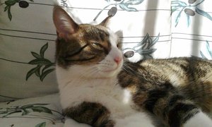 20141027_120538 (640x384).jpg