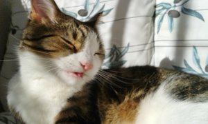 20141027_120547 (640x384).jpg