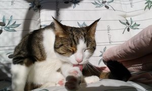 20141027_120612 (640x384).jpg