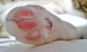 20141027_120633 (640x384).jpg