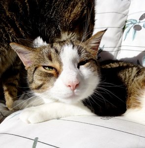 DSC03712 (629x640).jpg