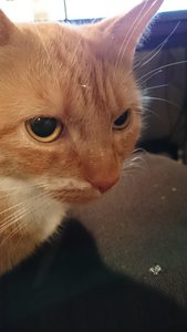 2014-11-04 19.14.50.jpg