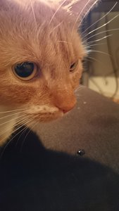 2014-11-04 19.14.41.jpg