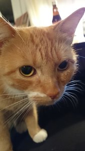 2014-11-04 19.14.05.jpg