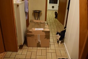 2014_10_18 IMG083031_1.jpg