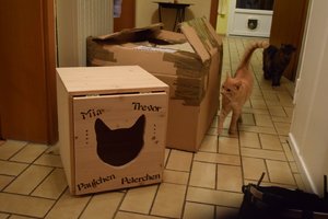 2014_10_18 IMG083031_4.jpg