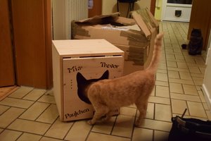 2014_10_18 IMG083031_7.jpg