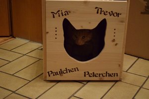 2014_10_18 IMG083032_10.jpg