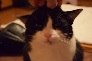 2014_10_13 IMG083031_3.jpg