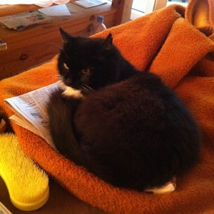 2013_06_09 IMG_1221.JPG