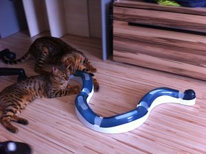 2013-08-14 10.47.15 Sunny + Joey.jpg