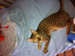 2013-03-20 14.58.44 Sunny + Joey.jpg