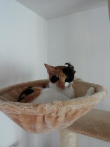 2014-11-05 11.13.13.jpg