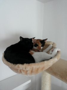 2014-11-06 15.20.00.jpg