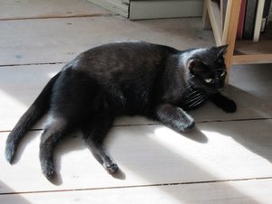 IMG_2581 - Kopie.JPG