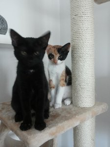 2014-08-05 13.23.50.jpg