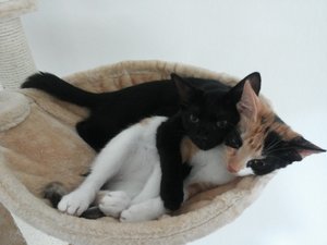 2014-08-18 15.38.00.jpg