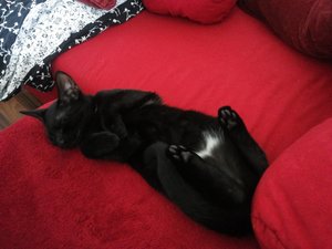 2014-08-27 15.42.11.jpg