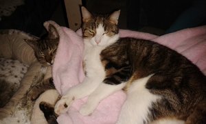 20141109_211814 (640x384).jpg 20141109_211814 (640x384).jpg