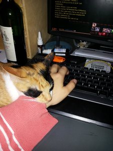 2014-10-18 23.56.12.jpg