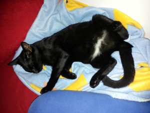 2014-10-18 22.32.35.jpg