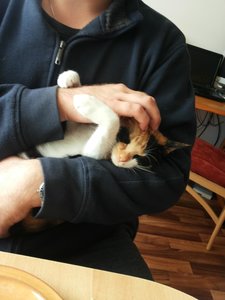 2014-10-18 12.59.36.jpg