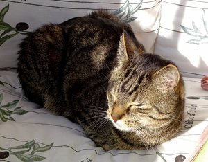 DSC04082 (640x499).jpg