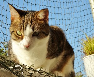 DSC04086 (640x525).jpg