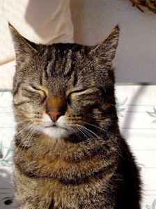 DSC04093 (476x640).jpg