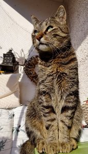 DSC04098 (363x640).jpg