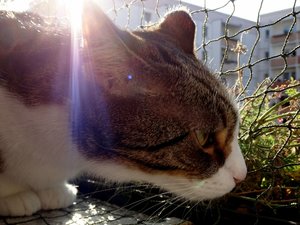 DSC04119 (640x480).jpg