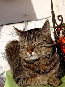 DSC04148 (480x640).jpg