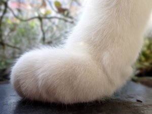 DSC04156 (640x480).jpg