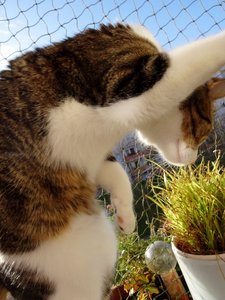 DSC04195 (480x640).jpg