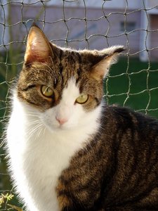 DSC04204 (479x640).jpg