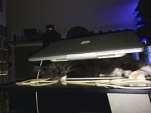 2014-07-26 03.11.55.jpg