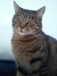 2014-11-21 12.15.54.jpg