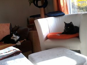 2014-03-31 17.30.59.jpg