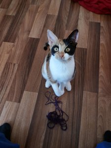 2014-10-27 10.36.19.jpg