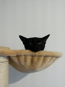 2014-10-30 16.20.14.jpg