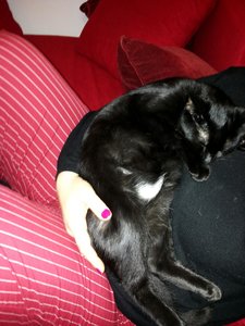 2014-11-16 23.31.53.jpg