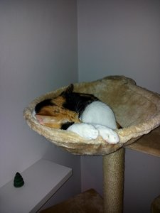 2014-11-20 20.51.59.jpg