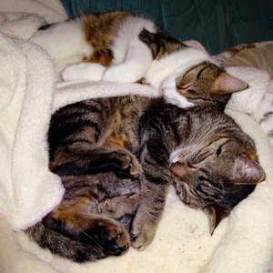 DSC04339 (640x640).jpg