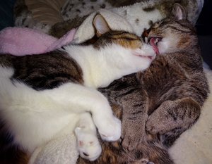 DSC04346 (640x495).jpg