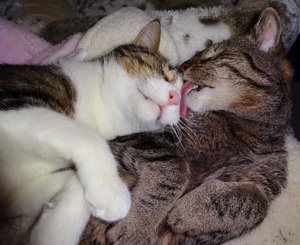 DSC04348 (640x522).jpg