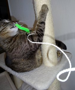 DSC04409 (539x640).jpg