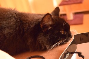 2014_08_25 IMG082633_5.jpg