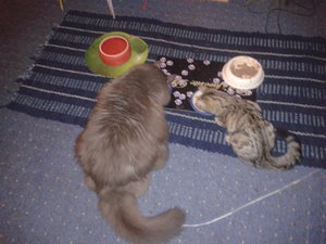 2014-09-01 19.45.30.jpg